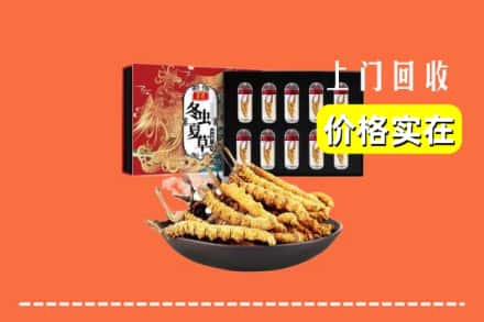 兴安盟扎赉特旗回收冬虫夏草